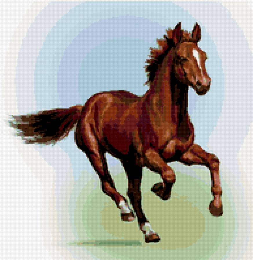 лошадка - животные, лошадь, конь, лошади - предпросмотр