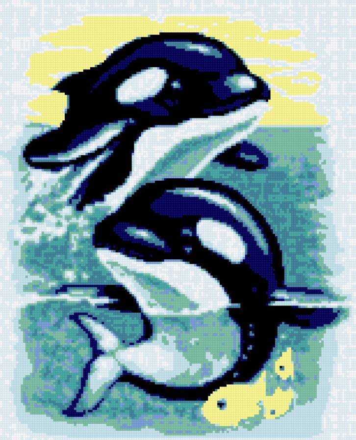 касатки - море, океан, две, детский, касатки, кит, морская природа - предпросмотр