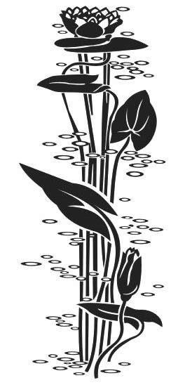 Водяная лилия - монохром, лилия, цветы - оригинал