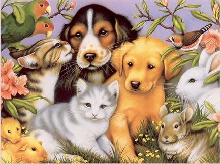 ....................... - оригинал