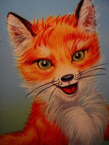 лиска - лиска лисица - оригинал