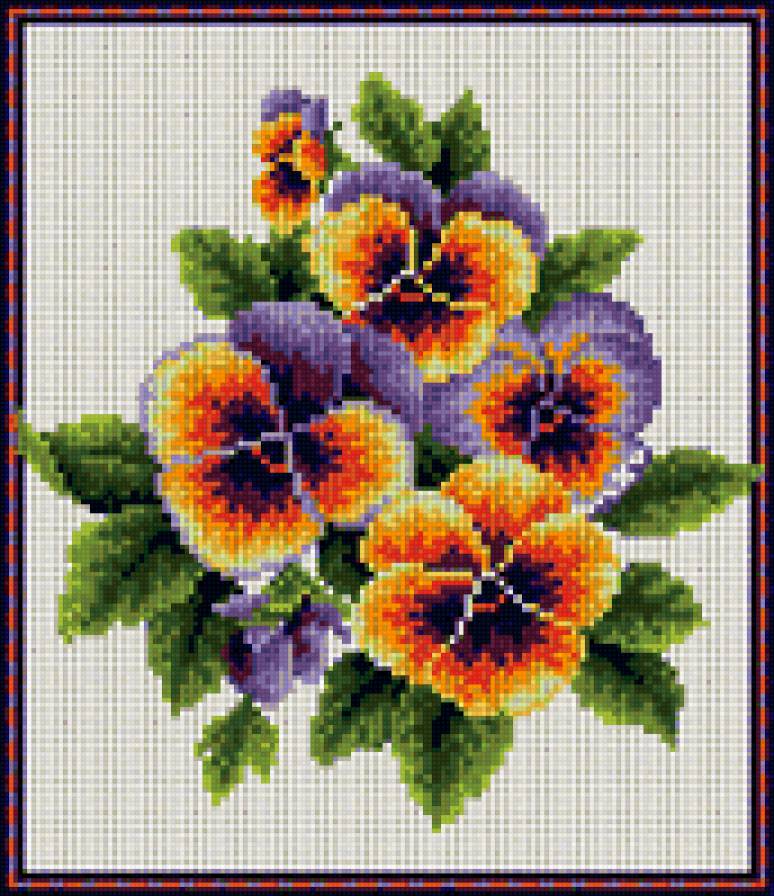 виола - предпросмотр