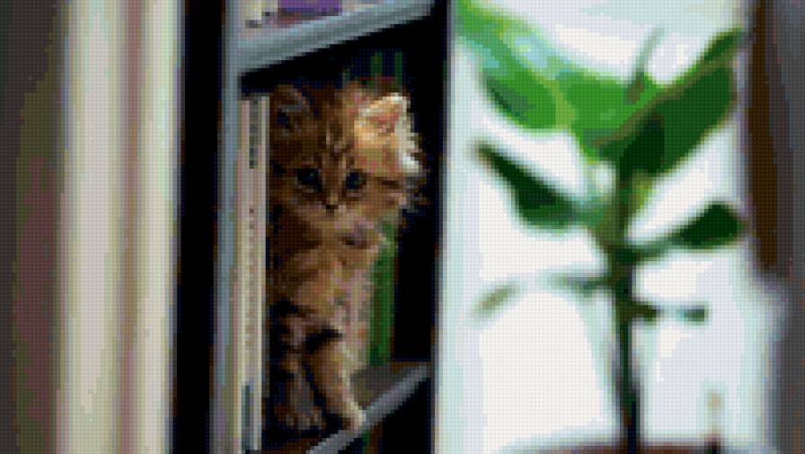 №252710 - предпросмотр