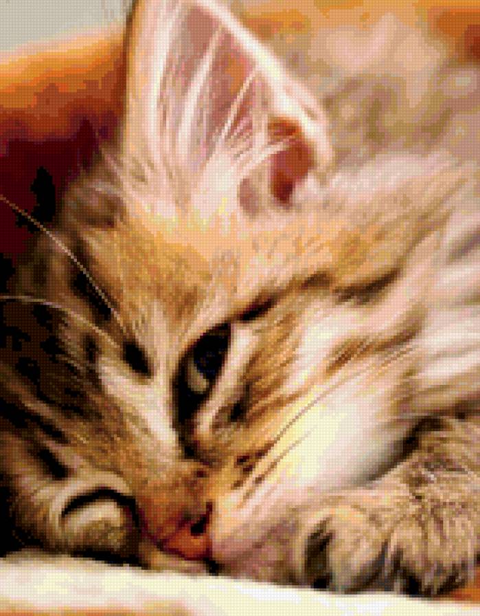 №252715 - предпросмотр