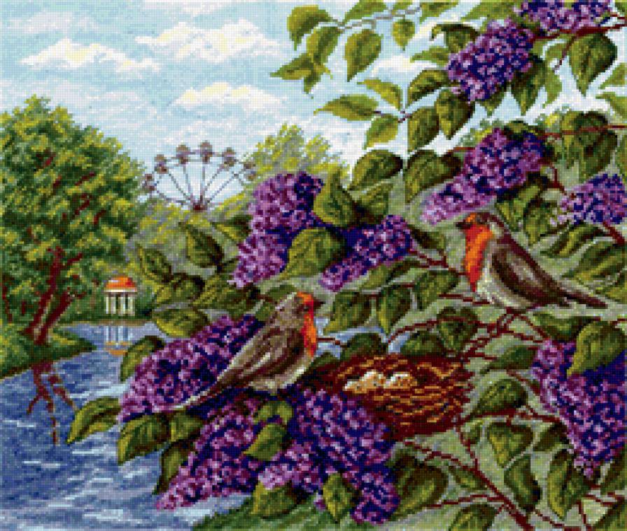 Птицы и сирень - цветы, птицы - предпросмотр