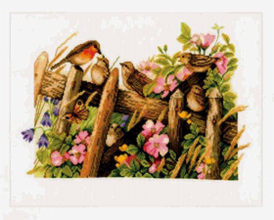 Семья малиновок - цветы, птицы - предпросмотр