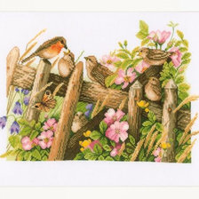 Схема вышивки «Семья малиновок»