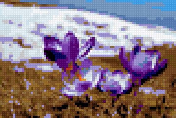 подснежники - цветы - предпросмотр