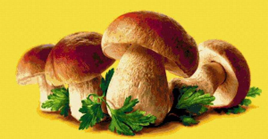 shrooms - грибы, натюрморт - предпросмотр
