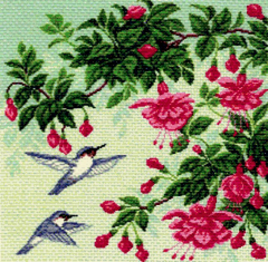 колибри и фуксия - птицы, цветы - предпросмотр