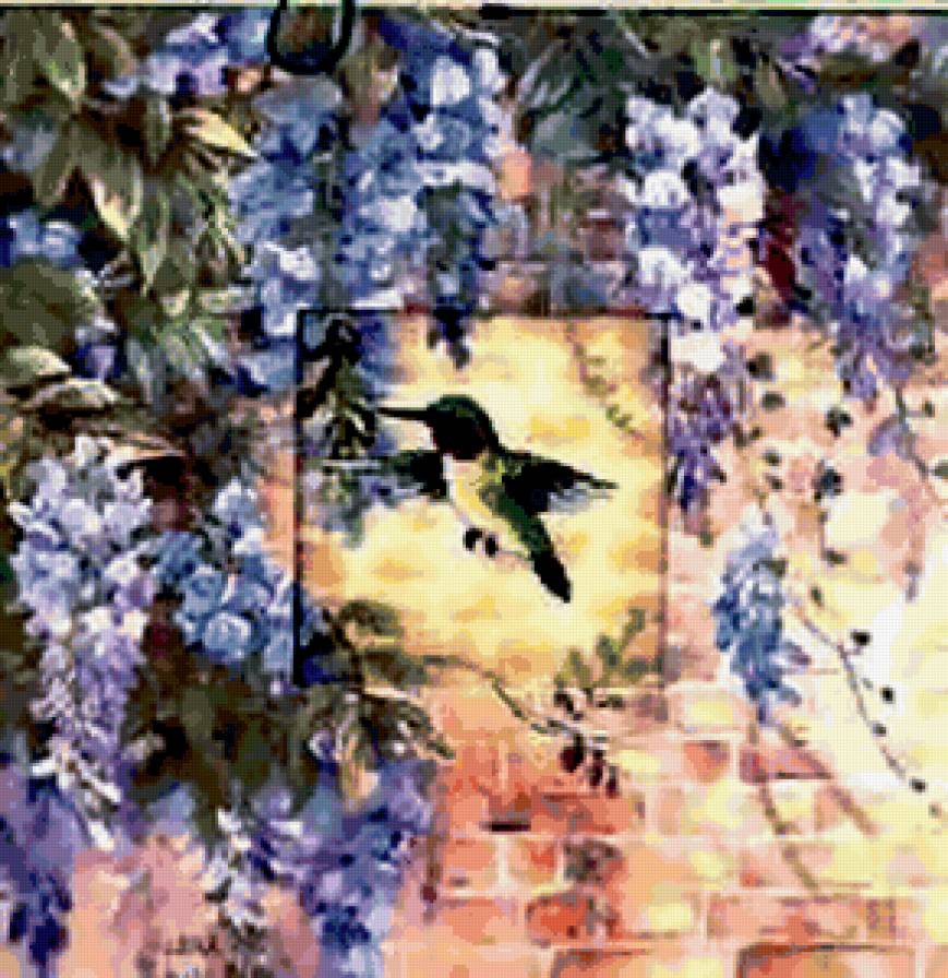 Колибри и глициния - птицы, цветы - предпросмотр