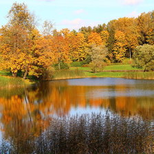 Схема вышивки «осень»