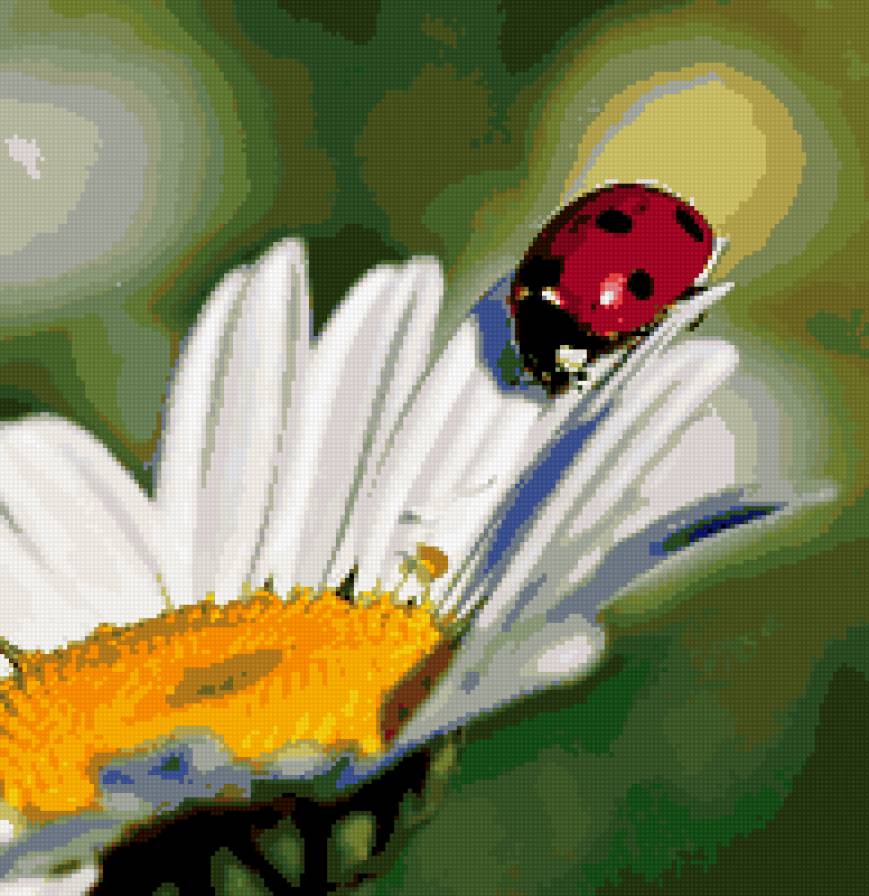 Божья коровка - предпросмотр