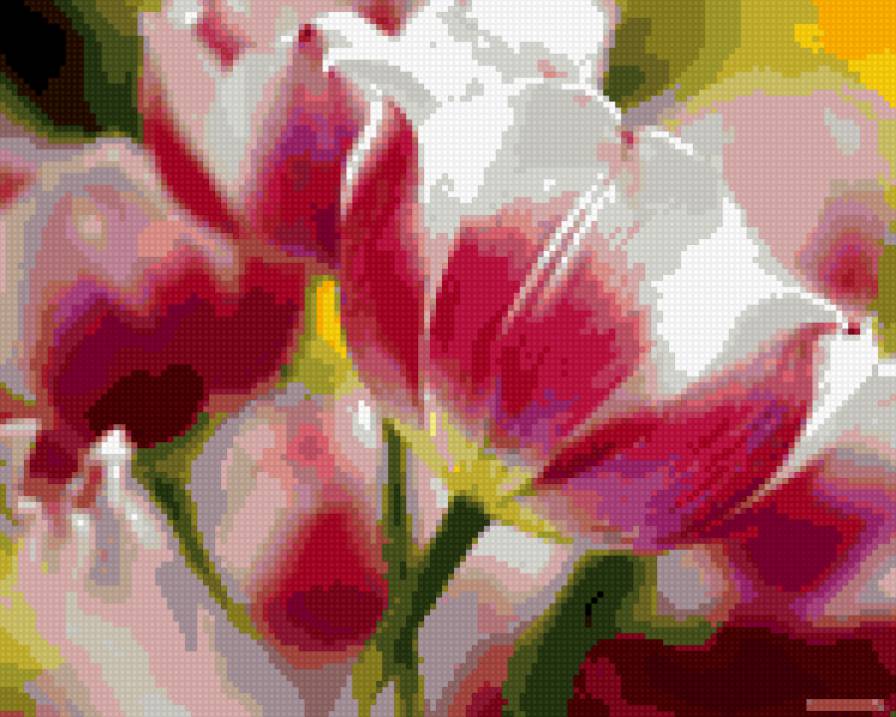 Тюльпан - предпросмотр