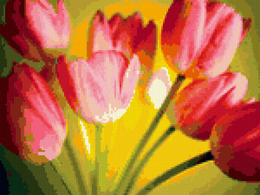 Тюльпаны - предпросмотр