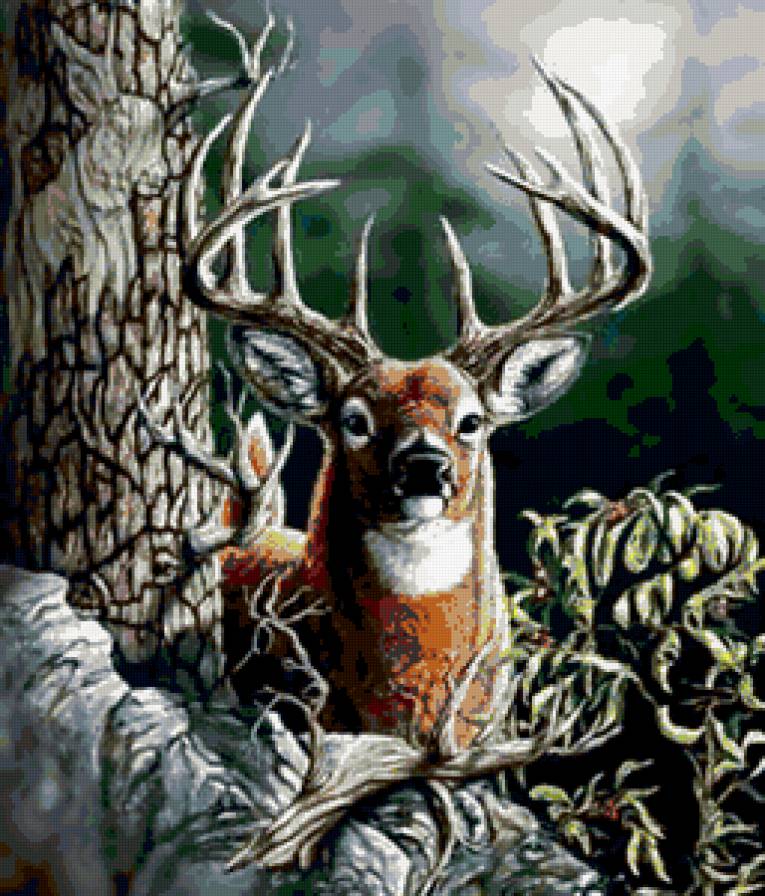 Олень - природа, животные, олень - предпросмотр