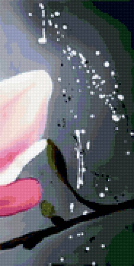 Магнолии часть 4 - предпросмотр