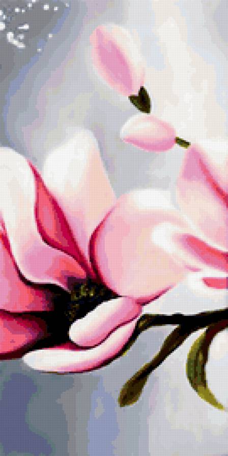 магнолии больше 2 - предпросмотр