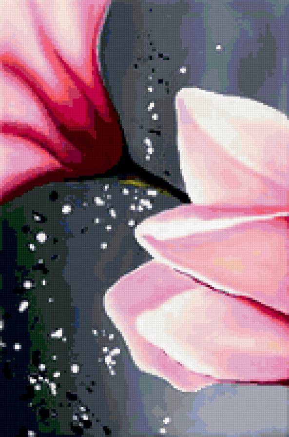 магнолии больше 1 - предпросмотр