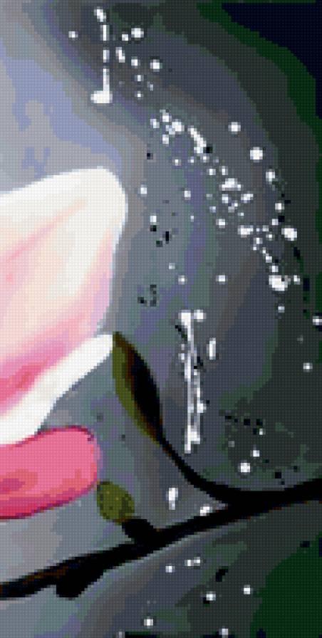 магнолии больше 4 - предпросмотр