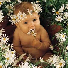 Схема вышивки «РОМАШКИ»