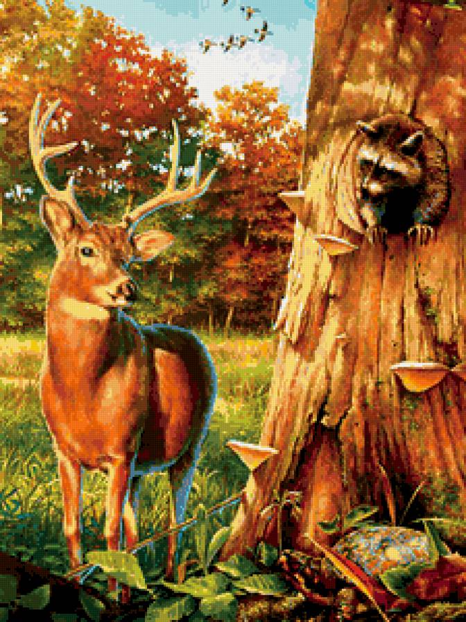 олень и енот - природа, животные, лес, осень - предпросмотр