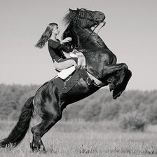 Оригинал схемы вышивки «девушка на коне» (№253592)