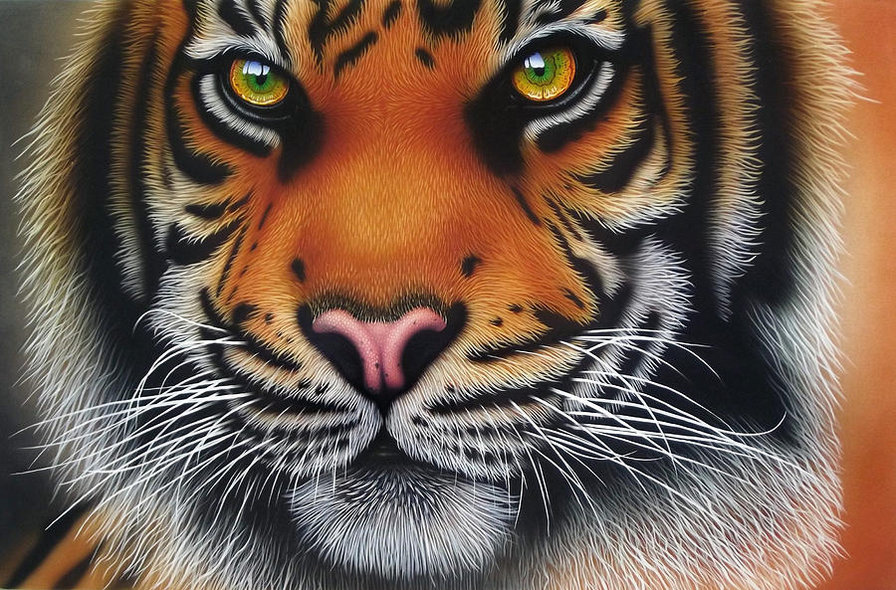 тигр - тигры, кошки, животные, хищники, взгляд - оригинал