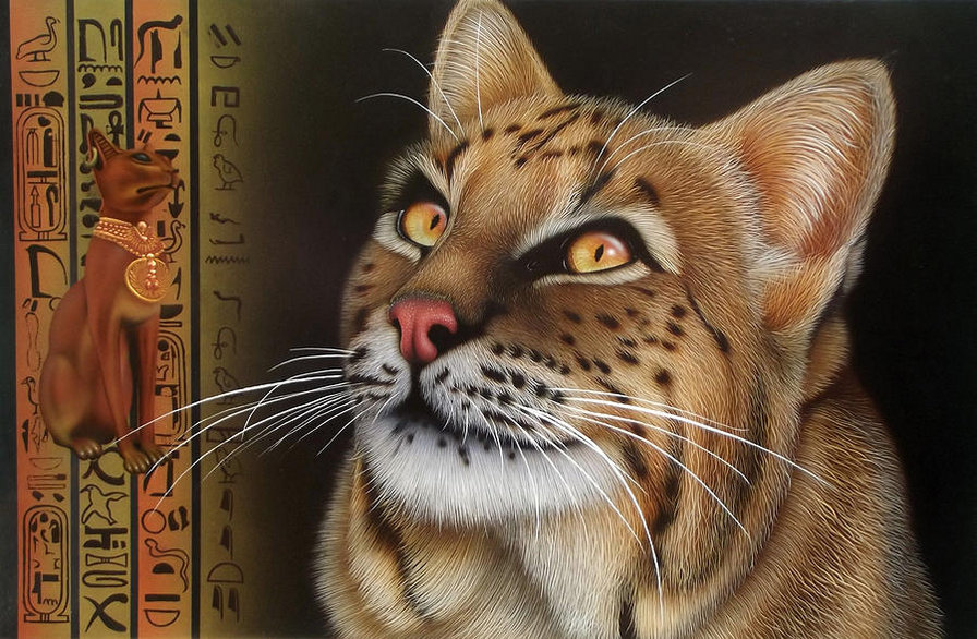 кошка - коты, египет, кот, кошки, животные - оригинал