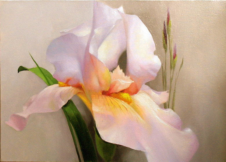 ирис - цветы ирис картина - оригинал