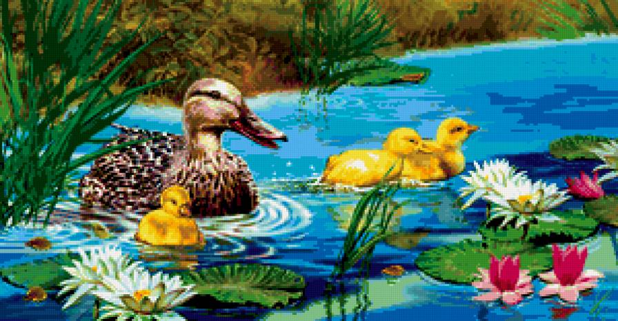 №253650 - пруд.утки.птицы - предпросмотр