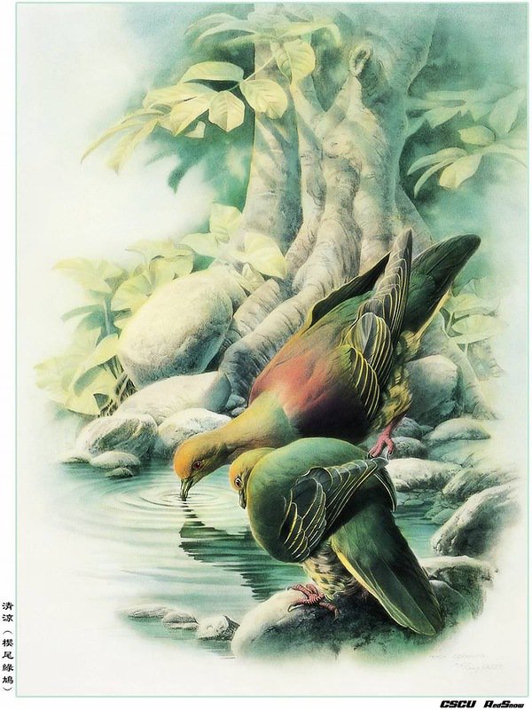 птицы - природа картина птицы - оригинал