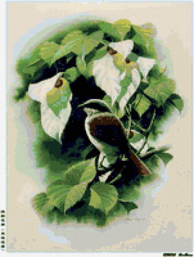 птичка - птичка природа картина - предпросмотр