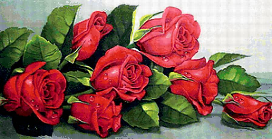 Красные розы - розы - предпросмотр