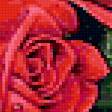 Предпросмотр схемы вышивки «Красные розы» (№253668)