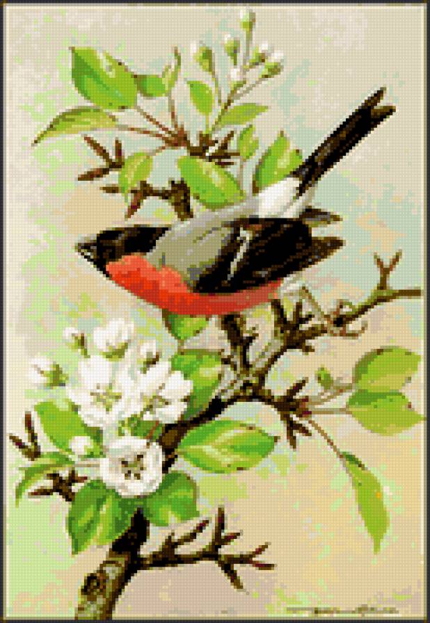 весенний день - природа птица картина ветка цветы - предпросмотр