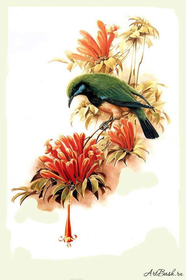 птица и цветы - природа картина птица цветы ветка - оригинал