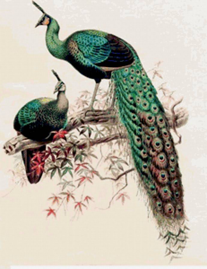 №253747 - предпросмотр