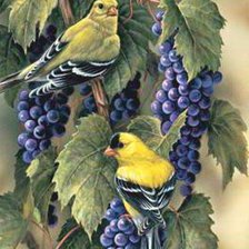 Схема вышивки «№253805»