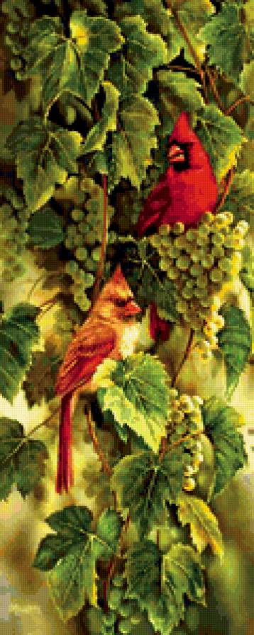 №253811 - предпросмотр