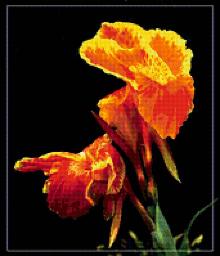 №253877 - предпросмотр