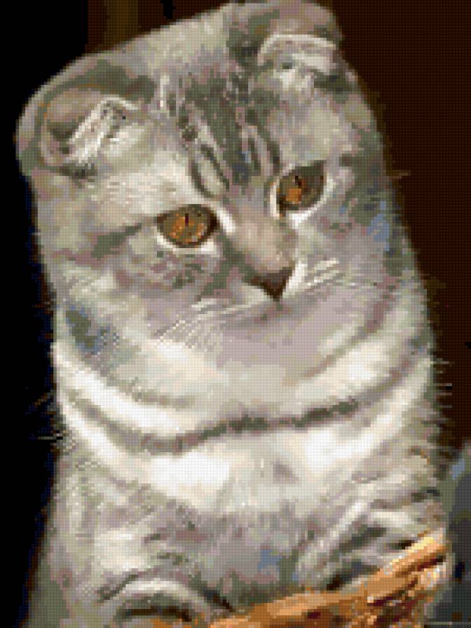 №253890 - предпросмотр