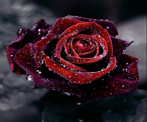 №253911 - оригинал