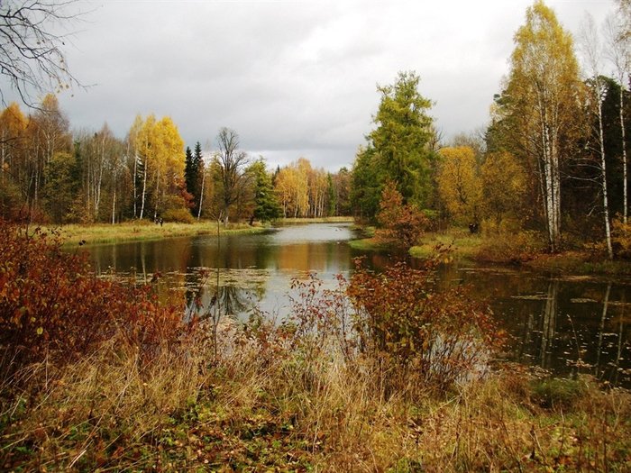 №253944 - лес, пейзаж, озеро - оригинал