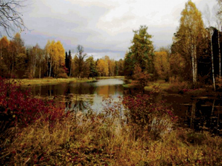 №253944 - лес, озеро, пейзаж - предпросмотр