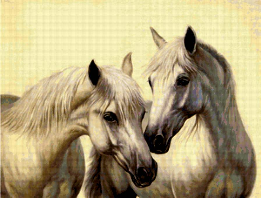 лошади - предпросмотр