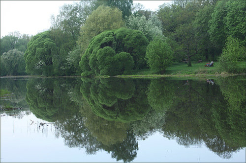 Природа - оригинал