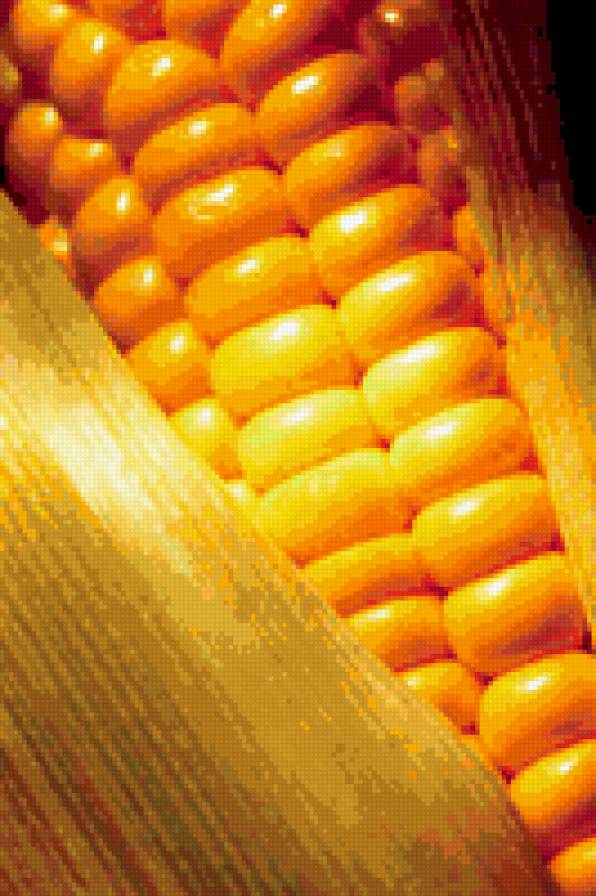 кукуруза - кухня, еда - предпросмотр