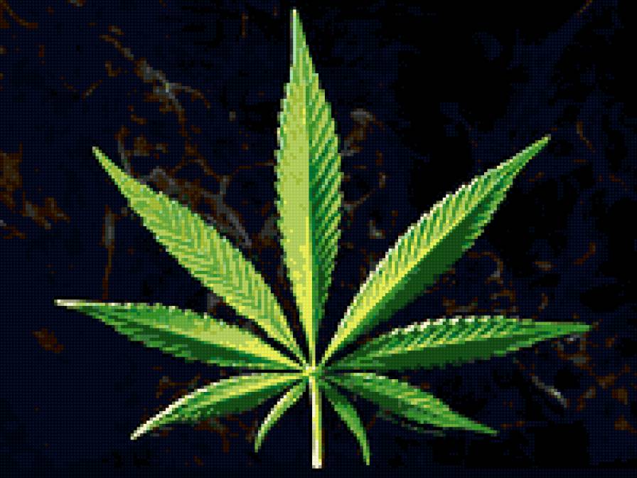 марихуана - канапля, марихуана, трава - предпросмотр