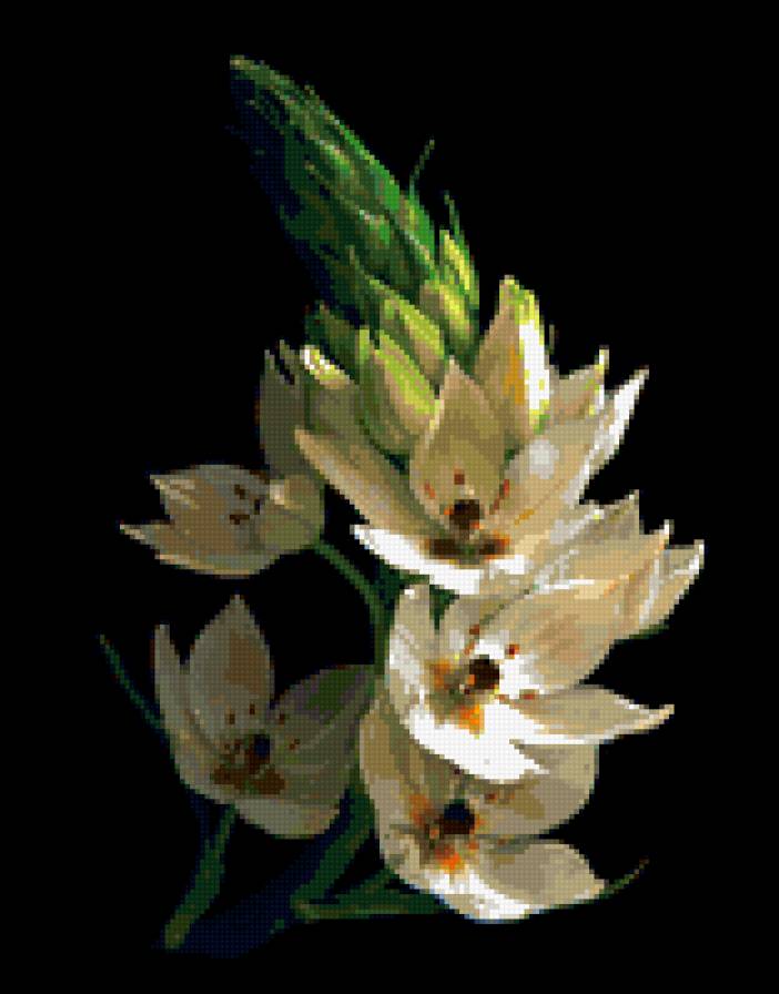 цветочки - предпросмотр